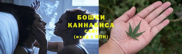 дмт Лиски