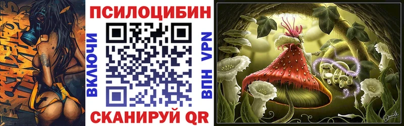 Псилоцибиновые грибы MAGIC MUSHROOMS Купить закладки Костомукша